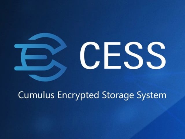 CESS 네트워크 로고